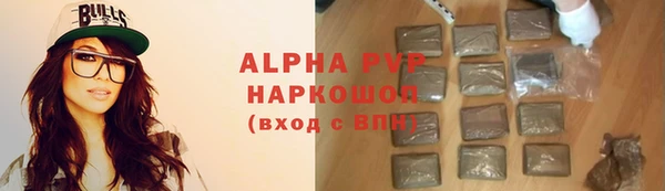 прущие грибы Касимов