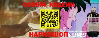 индика Жуковский
