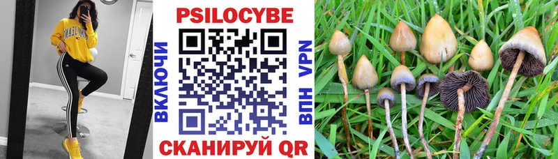 Галлюциногенные грибы Cubensis  Рассказово 