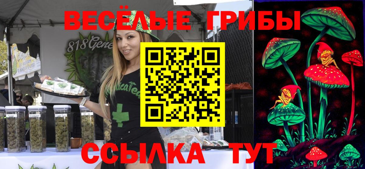 Галлюциногенные грибы Psilocybine cubensis Рассказово