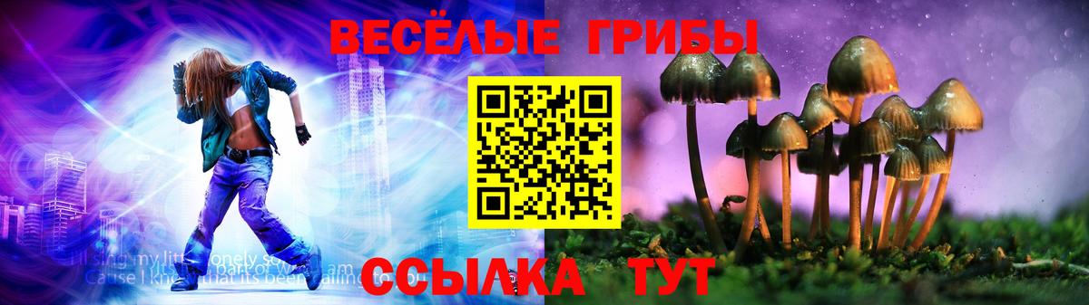 где продают   Вход с VPN  Рассказово  Псилоцибиновые грибы прущие грибы  Псилоцибиновые грибы Cubensis 