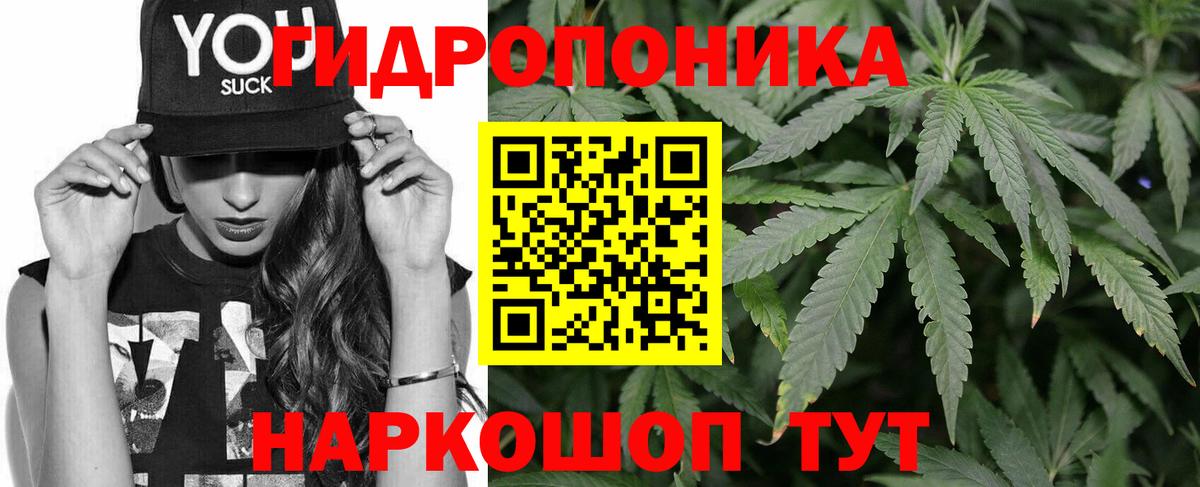 Бошки марихуана индика  Шишки марихуана план  Вход с VPN  Бошки Шишки конопля  Рассказово  Конопля OG Kush 